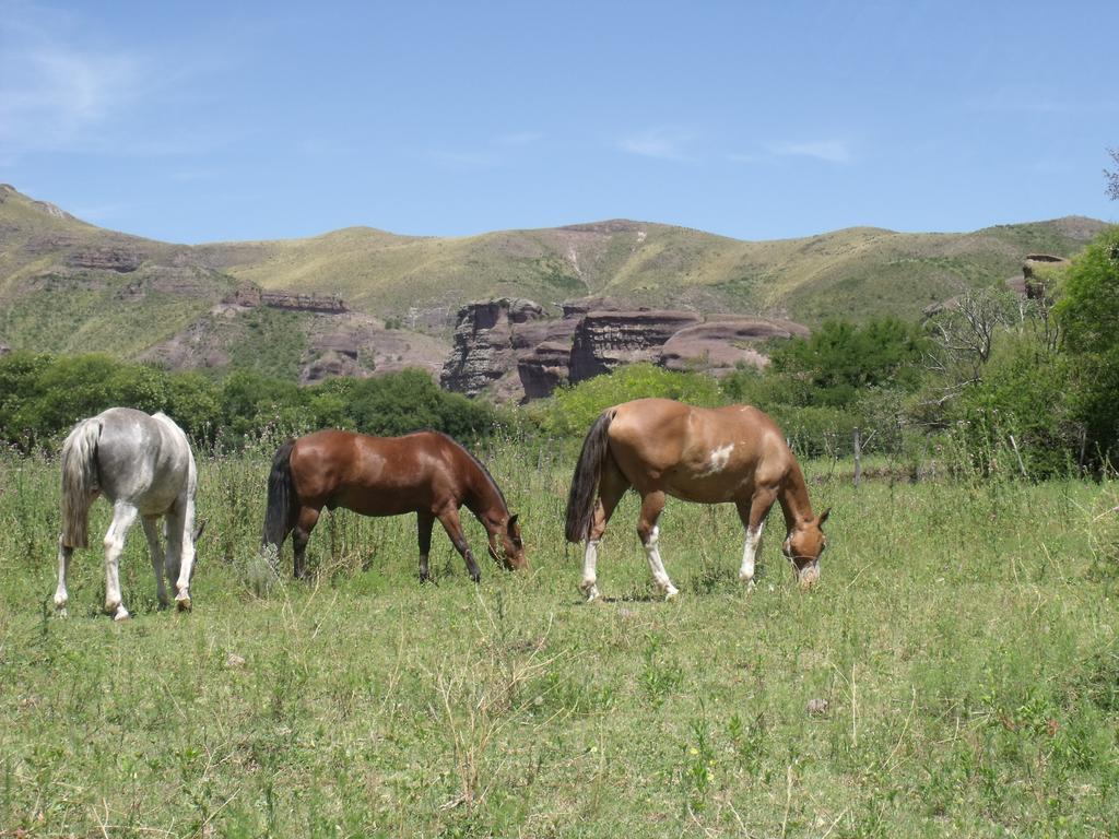 Ongamira Turismo Rural Hotel Córdoba Luaran gambar